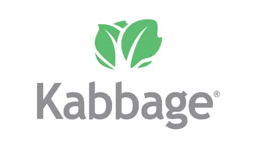 Kabbage: Small Business Loans